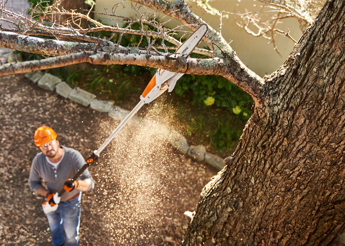 STIHL Pole Pruners & Saws