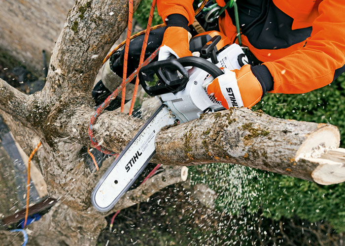 STIHL Top Handle Chainsaws