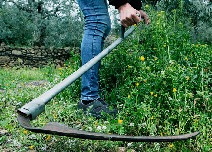 Scythes & Hooks