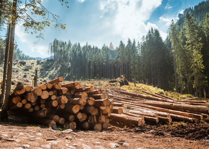 Landscaping & Forestry Machinery
