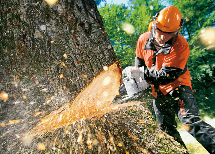 STIHL Professional Chainsaws